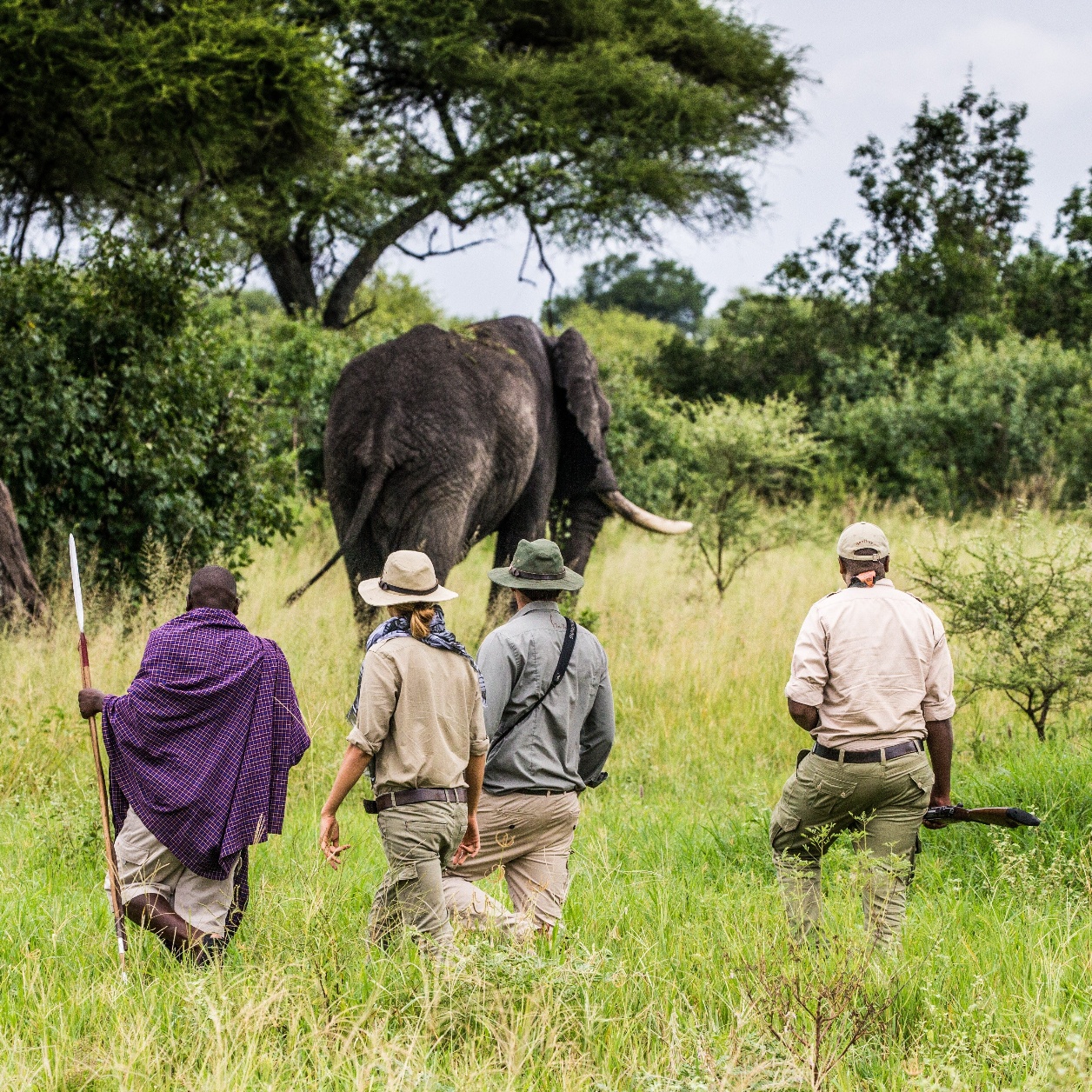 Walking Experiences Kenya and Tanzania